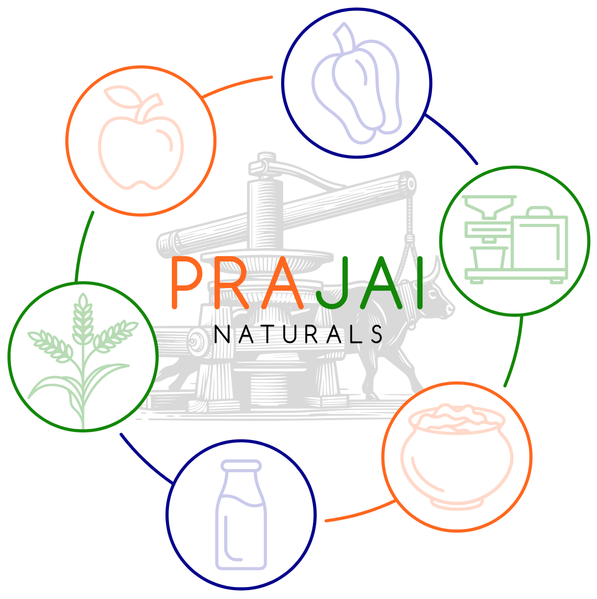 parajai Logo